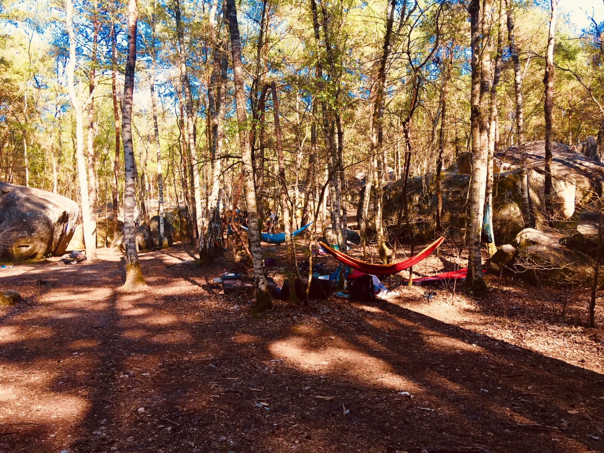 Fontainebleau macht glücklich